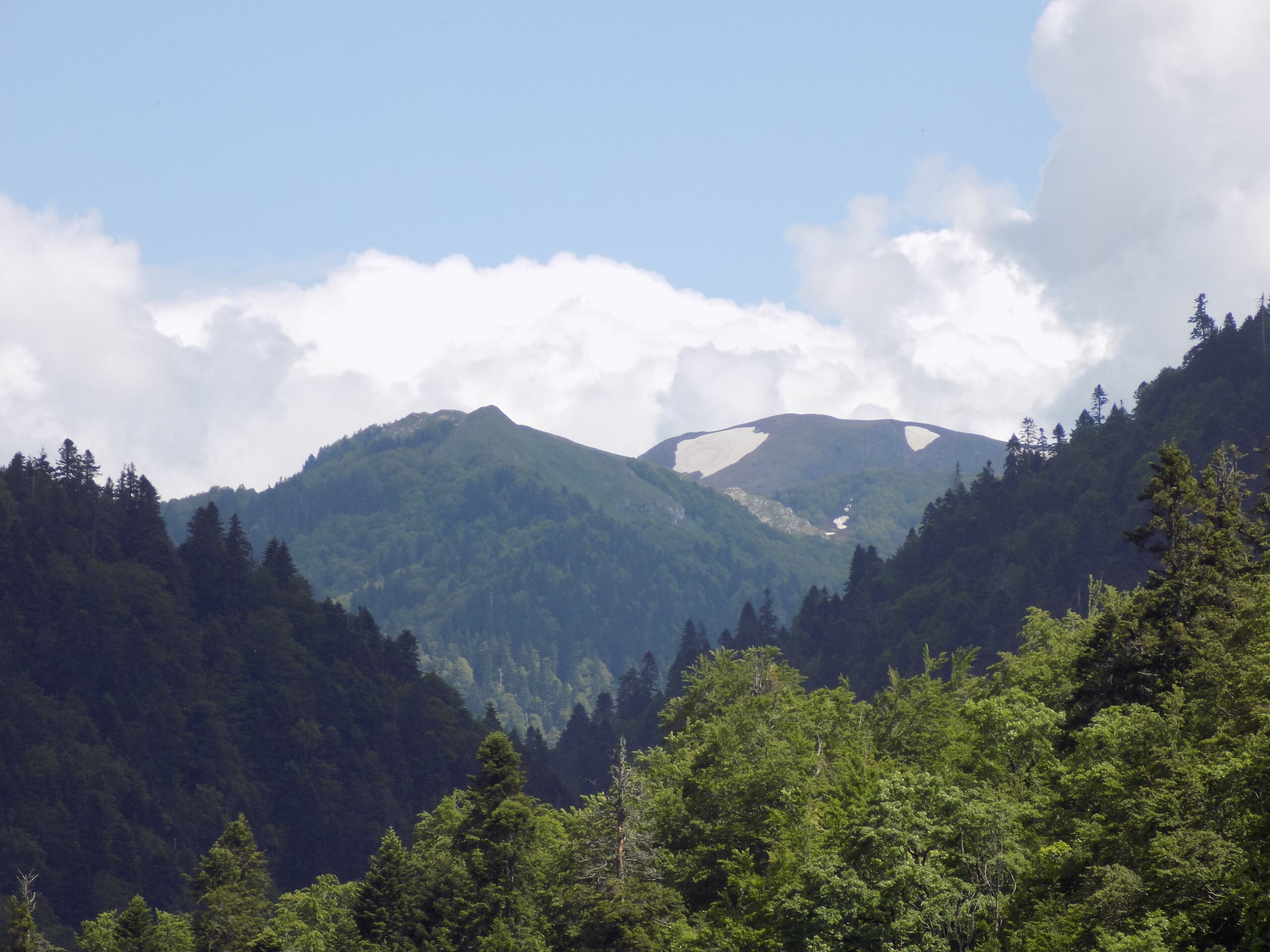 le parc national Biogradska gora