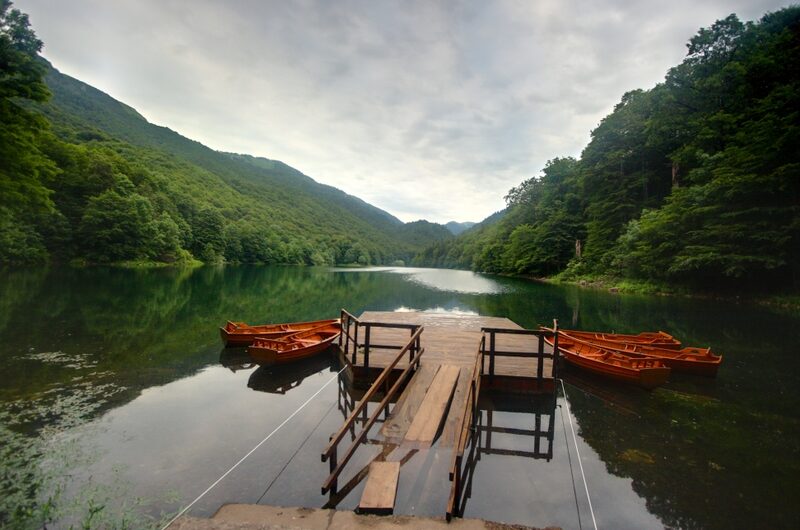 Découvrez le parc national de Biogradska Gora au Monténégro