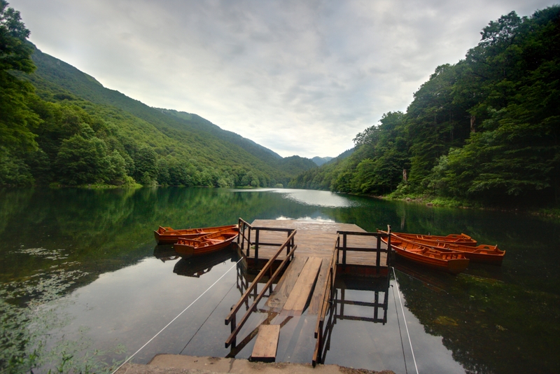 Biogradska Gora au Monténégro