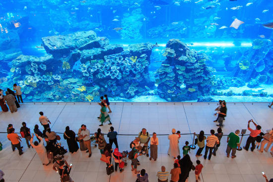 aquariums 