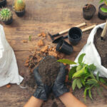 nourrir la terre de son jardin