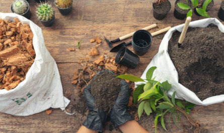 nourrir la terre de son jardin