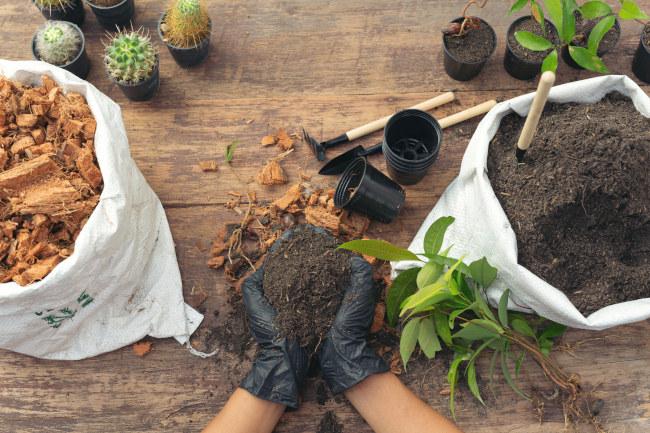 nourrir la terre de son jardin