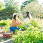 Les meilleures astuces pour un jardin toujours en pleine santé
