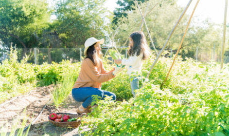 Les meilleures astuces pour un jardin toujours en pleine santé