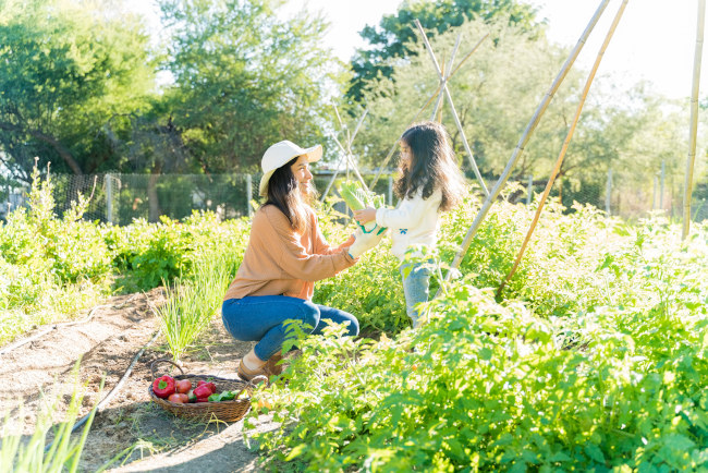 Les meilleures astuces pour un jardin toujours en pleine santé