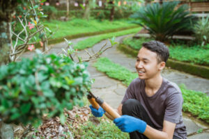 Planter des espèces locales