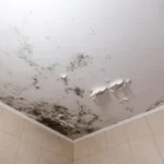 plafond-humide