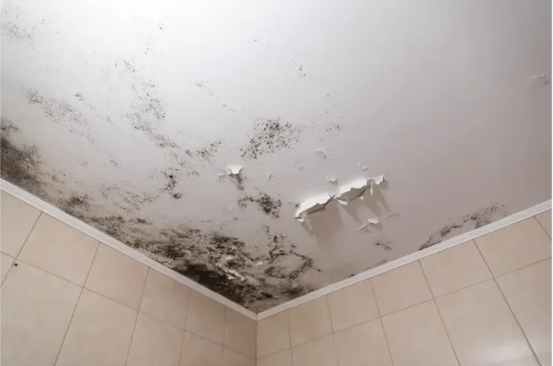 Mur humide ou remontée capillaire : comment faire la différence ?