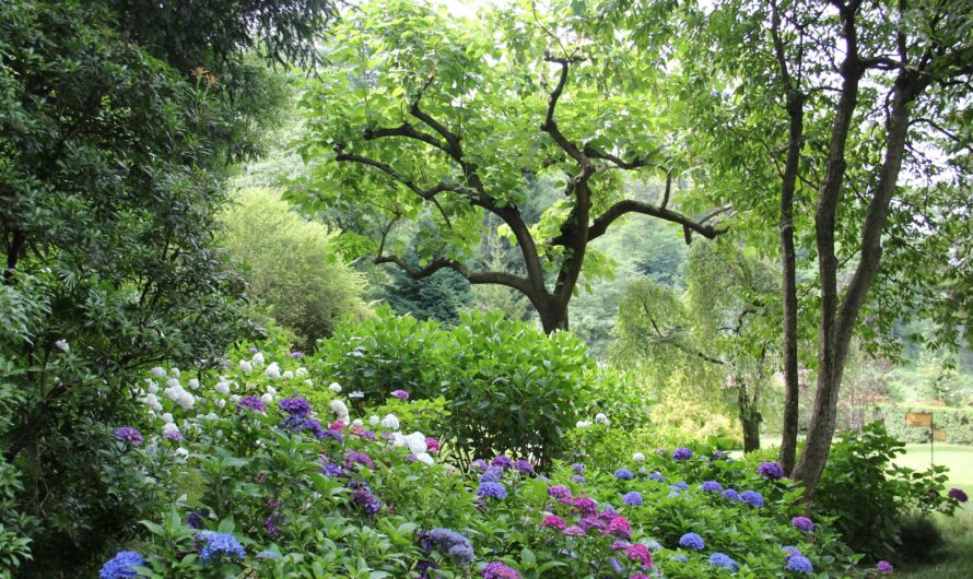 Ces acteurs célèbres révélant un talent caché en jardinage