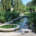 bassin de jardin