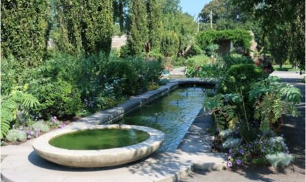 bassin de jardin