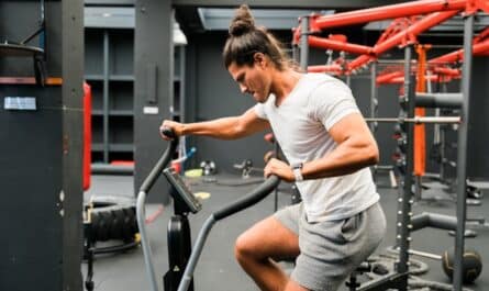 Musculation débutant