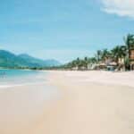 seashore during daytime