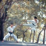 technique de combat
