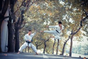 technique de combat