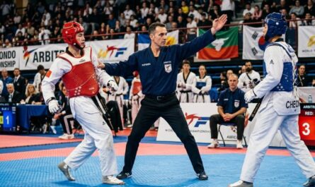 arbitrage arts martiaux