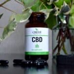 le CBD