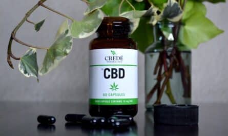 le CBD