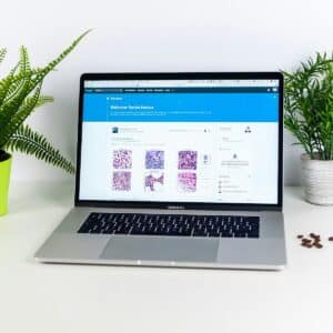 annuaire site