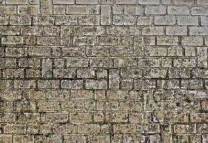 Mur de pierre de taille ancienne avec joints visibles et patine du temps